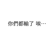 511699037