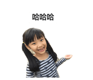 51176254