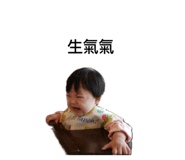 51176256