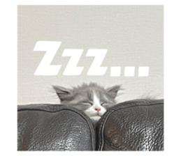 511771210