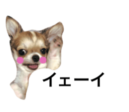 51178028