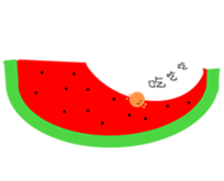 511881314