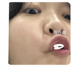 511894009