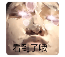 511894018