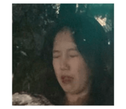 511894402