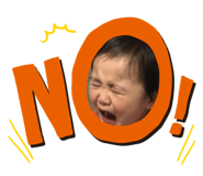 511991081