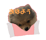 512061503