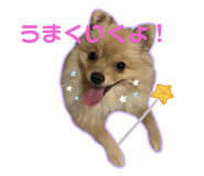 512061515