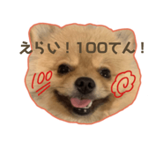 512061518