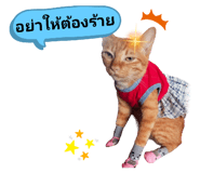 512127445