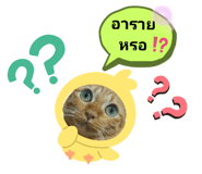 512127452