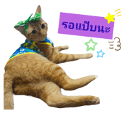 512127455