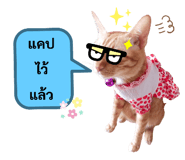 512127464