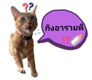 512127467