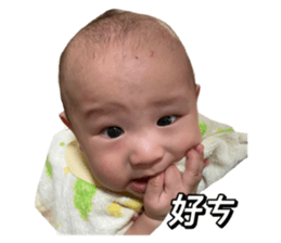 512134356