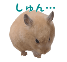 512160960
