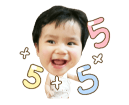 51220133