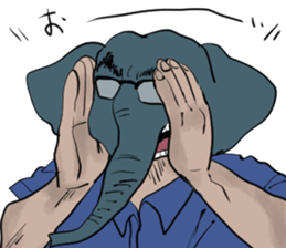 512202364