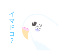 512234116