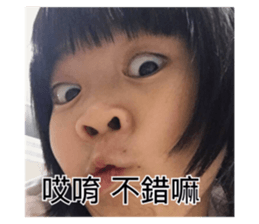 512236550