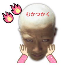 512236950