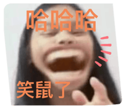 512238750