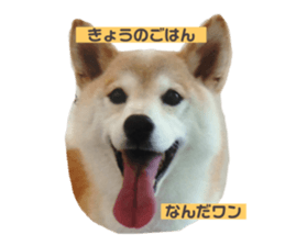 512318443