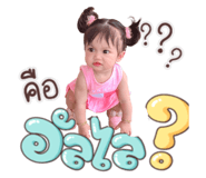 512330084