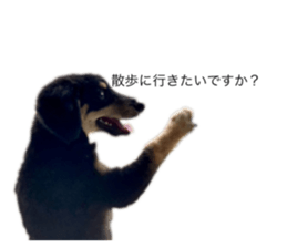 512335002