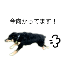 512335005
