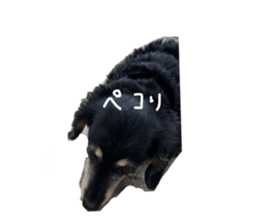 512350434