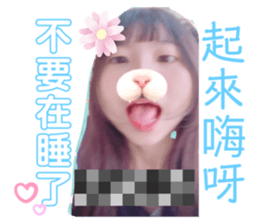 512354704