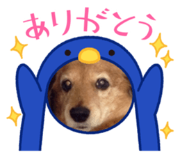 512372938