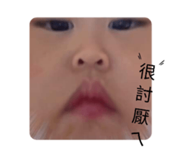 512392248