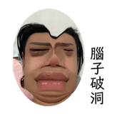 512394993