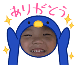 512407325