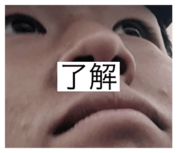 512419456