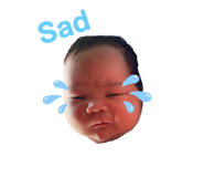 512440922