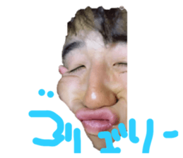 512443206
