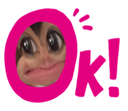512443546