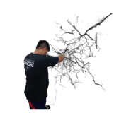 512525233
