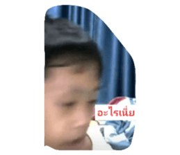 512639046