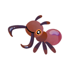 512666920