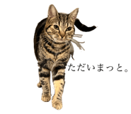 512673168