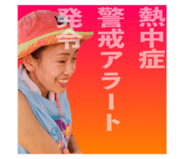 512684338
