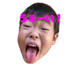 512693206