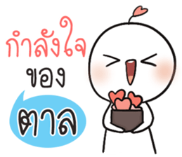 51269909