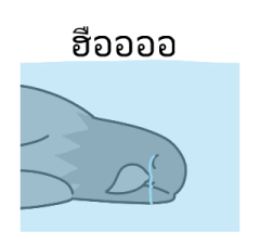 512699463