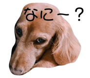 512712537