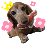 512712541
